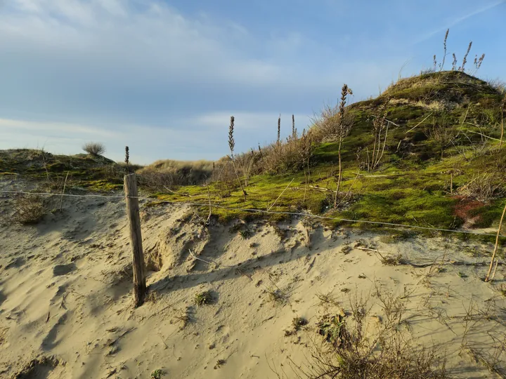 Oostnieuwkerke duinen wandeling in de koude (België)